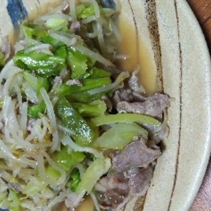 野菜たっぷり、さっぱり味でモリモリ食べちゃいました！
おいしかったです。